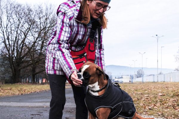 DOGGURU-PAS-GRADJANIN-2